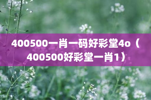 400500一肖一码好彩堂4o（400500好彩堂一肖1）