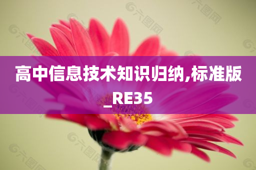 高中信息技术知识归纳,标准版_RE35