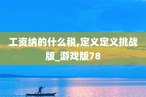 工资纳的什么税,定义定义挑战版_游戏版78