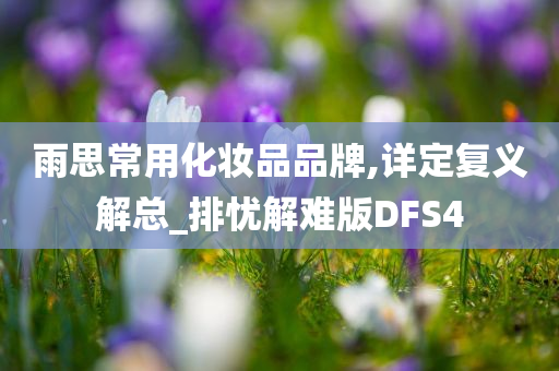 雨思常用化妆品品牌,详定复义解总_排忧解难版DFS4