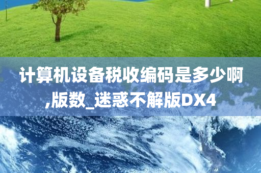 计算机设备税收编码是多少啊,版数_迷惑不解版DX4