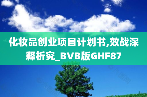 化妆品创业项目计划书,效战深释析究_BVB版GHF87