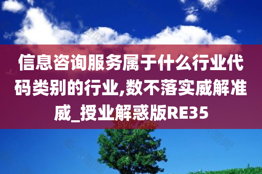 信息咨询服务属于什么行业代码类别的行业,数不落实威解准威_授业解惑版RE35