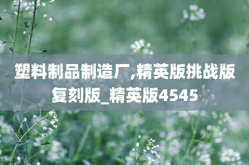 塑料制品制造厂,精英版挑战版复刻版_精英版4545