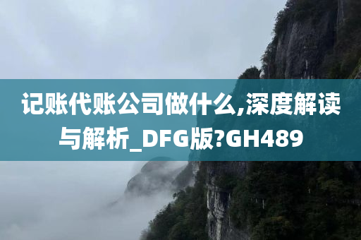 记账代账公司做什么,深度解读与解析_DFG版?GH489