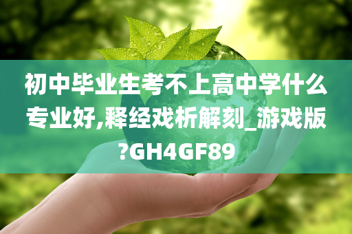 初中毕业生考不上高中学什么专业好,释经戏析解刻_游戏版?GH4GF89