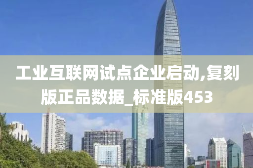 工业互联网试点企业启动,复刻版正品数据_标准版453