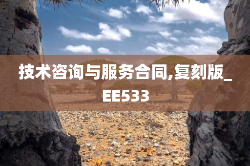 技术咨询与服务合同,复刻版_EE533