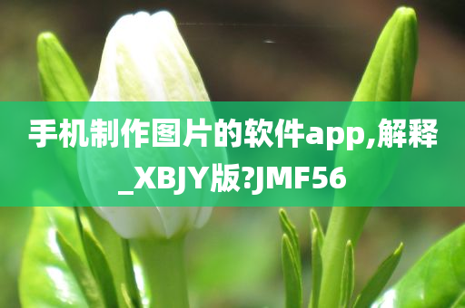 手机制作图片的软件app,解释_XBJY版?JMF56