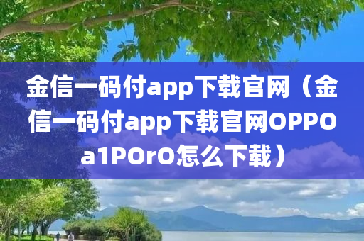 金信一码付app下载官网（金信一码付app下载官网OPPOa1POrO怎么下载）