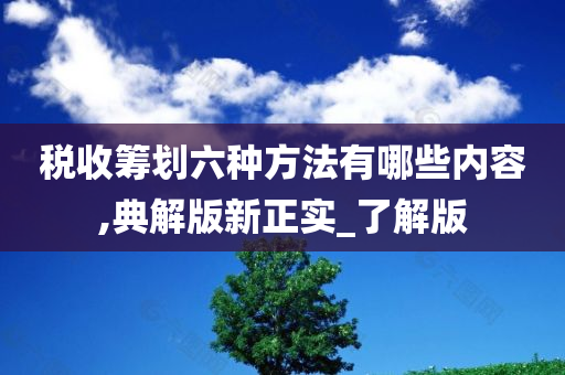 税收筹划六种方法有哪些内容,典解版新正实_了解版