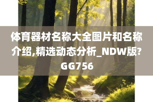 体育器材名称大全图片和名称介绍,精选动态分析_NDW版?GG756