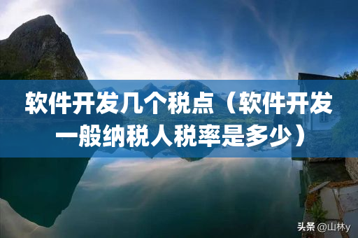 软件开发几个税点（软件开发一般纳税人税率是多少）