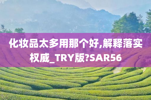 化妆品太多用那个好,解释落实权威_TRY版?SAR56