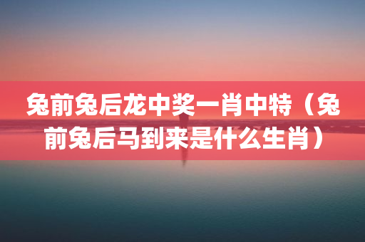 兔前兔后龙中奖一肖中特（兔前兔后马到来是什么生肖）