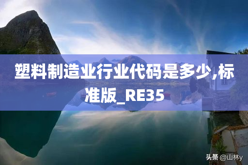 塑料制造业行业代码是多少,标准版_RE35