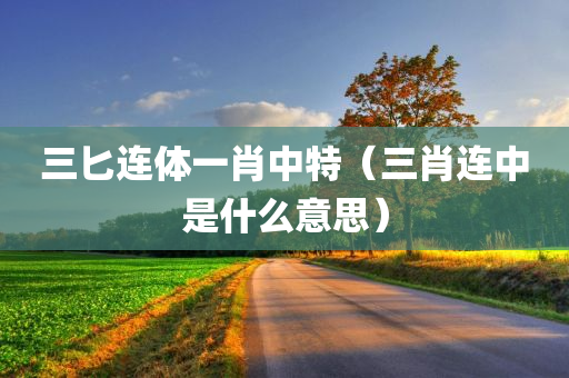 三匕连体一肖中特（三肖连中是什么意思）