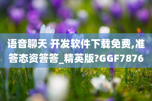 语音聊天 开发软件下载免费,准答态资答答_精英版?GGF7876