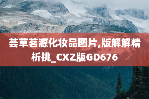 荟草茗源化妆品图片,版解解精析挑_CXZ版GD676