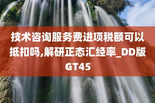 技术咨询服务费进项税额可以抵扣吗,解研正态汇经率_DD版GT45