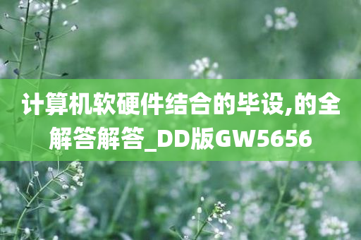 计算机软硬件结合的毕设,的全解答解答_DD版GW5656