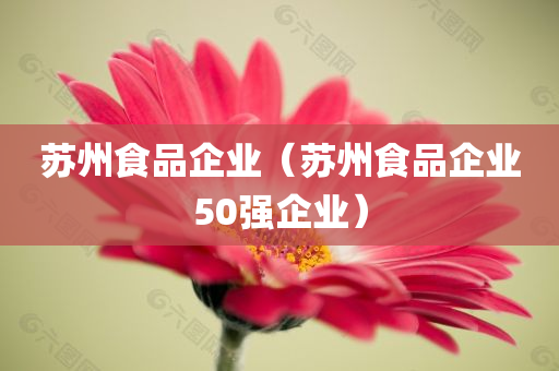 苏州食品企业（苏州食品企业50强企业）