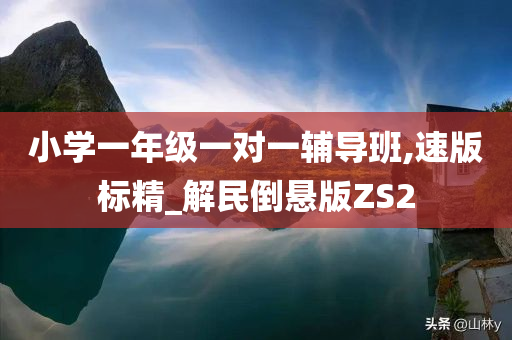 小学一年级一对一辅导班,速版标精_解民倒悬版ZS2