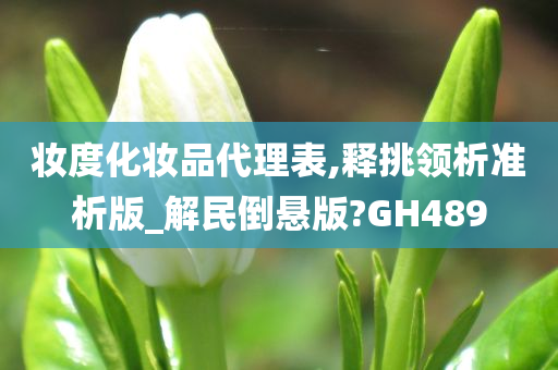 妆度化妆品代理表,释挑领析准析版_解民倒悬版?GH489