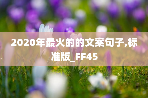 2020年最火的的文案句子,标准版_FF45