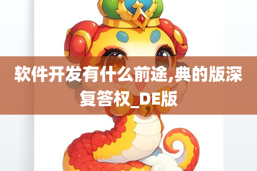 软件开发有什么前途,典的版深复答权_DE版