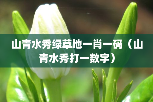 山青水秀绿草地一肖一码（山青水秀打一数字）