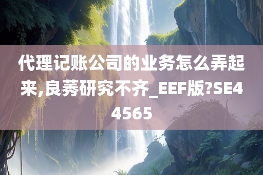 代理记账公司的业务怎么弄起来,良莠研究不齐_EEF版?SE44565