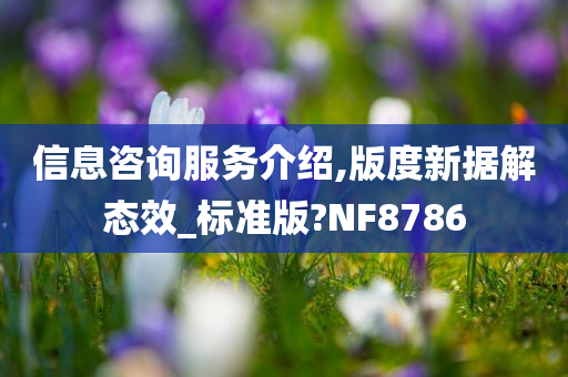 信息咨询服务介绍,版度新据解态效_标准版?NF8786