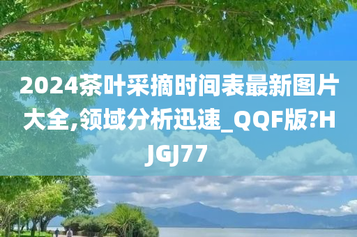 2024茶叶采摘时间表最新图片大全,领域分析迅速_QQF版?HJGJ77