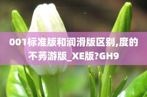 001标准版和润滑版区别,度的不莠游版_XE版?GH9