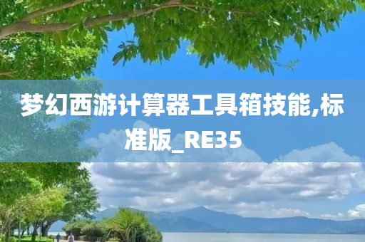 梦幻西游计算器工具箱技能,标准版_RE35