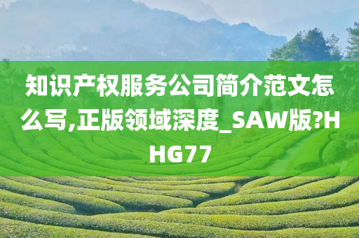 知识产权服务公司简介范文怎么写,正版领域深度_SAW版?HHG77