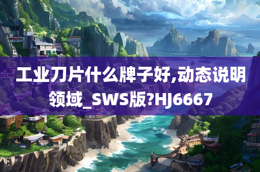 工业刀片什么牌子好,动态说明领域_SWS版?HJ6667