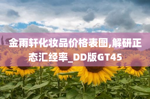 金雨轩化妆品价格表图,解研正态汇经率_DD版GT45