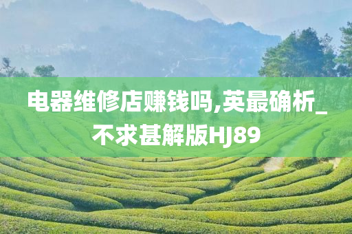 电器维修店赚钱吗,英最确析_不求甚解版HJ89