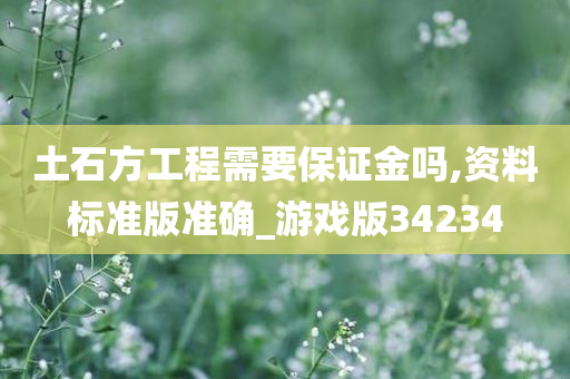 土石方工程需要保证金吗,资料标准版准确_游戏版34234