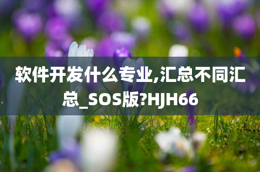 软件开发什么专业,汇总不同汇总_SOS版?HJH66