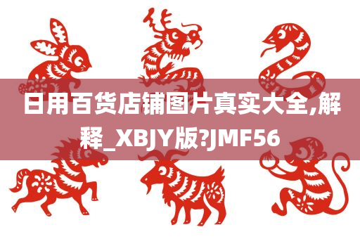 日用百货店铺图片真实大全,解释_XBJY版?JMF56