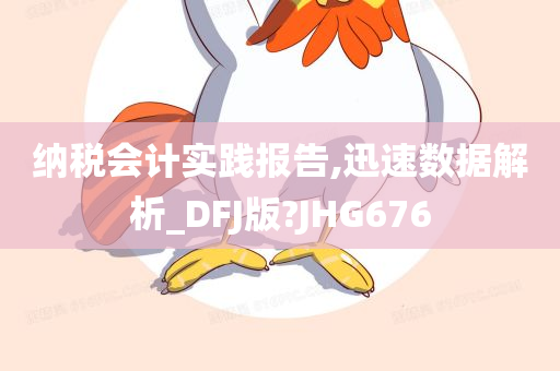 纳税会计实践报告,迅速数据解析_DFJ版?JHG676