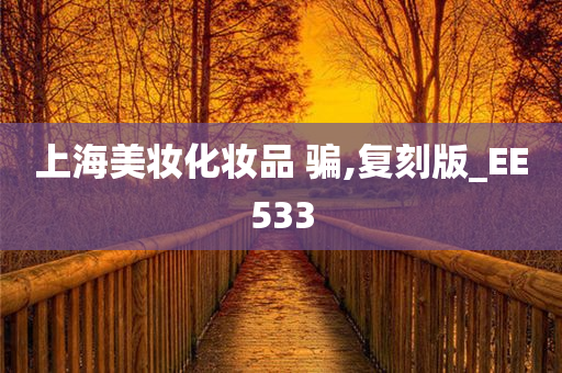 上海美妆化妆品 骗,复刻版_EE533