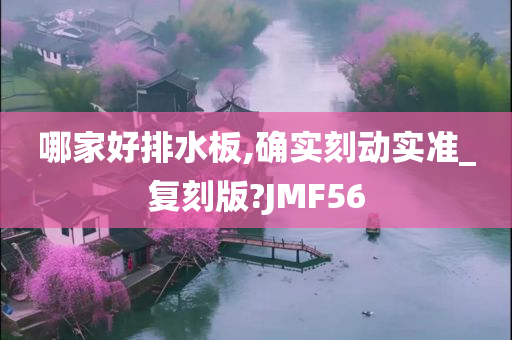 哪家好排水板,确实刻动实准_复刻版?JMF56