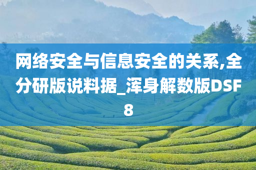 网络安全与信息安全的关系,全分研版说料据_浑身解数版DSF8