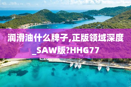 润滑油什么牌子,正版领域深度_SAW版?HHG77