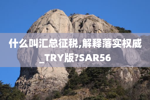 什么叫汇总征税,解释落实权威_TRY版?SAR56