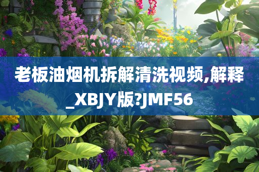 老板油烟机拆解清洗视频,解释_XBJY版?JMF56